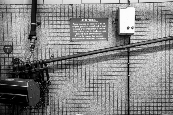 2014 02 19 Abattoir LuxeuilIMG 8701